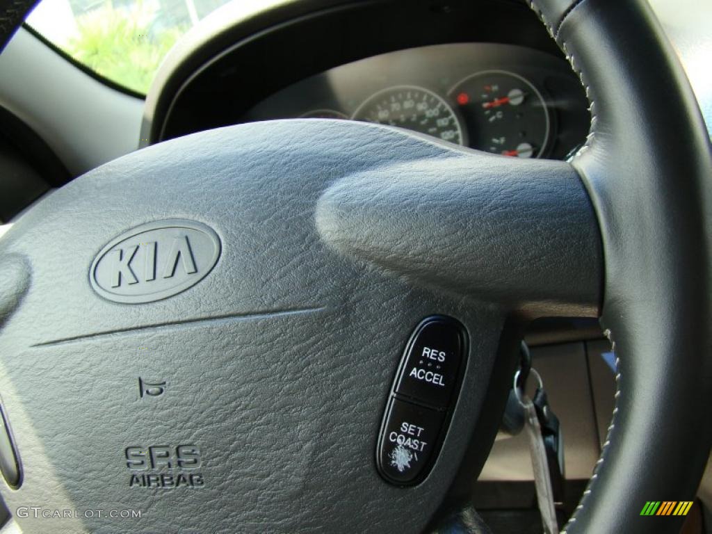2004 Sedona EX - Imperial Blue / Gray photo #30