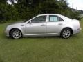 Palladium Silver Metallic - C 300 Luxury Photo No. 25