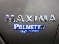 Spirited Bronze Pearl - Maxima 3.5 SE Photo No. 36