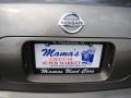 Spirited Bronze Pearl - Maxima 3.5 SE Photo No. 38
