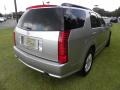 Light Platinum - SRX V6 Photo No. 14