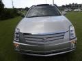 Light Platinum - SRX V6 Photo No. 19