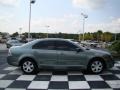 2006 Titanium Green Metallic Ford Fusion SE  photo #6