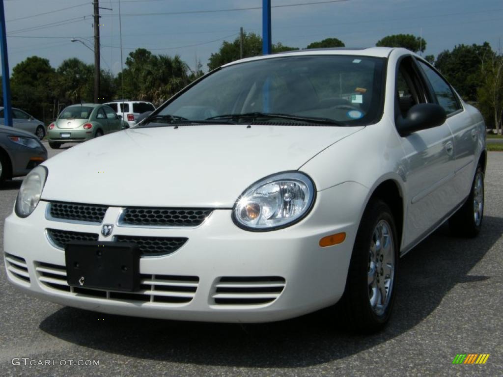 Stone White Dodge Neon