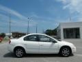 2004 Stone White Dodge Neon SXT  photo #6