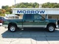 2008 Forest Green Metallic Ford F250 Super Duty XLT Crew Cab 4x4  photo #1