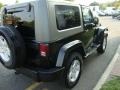 Black - Wrangler Sahara 4x4 Photo No. 9