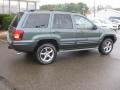 2002 Onyx Green Pearlcoat Jeep Grand Cherokee Overland 4x4  photo #3