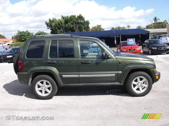 2006 Liberty Limited - Jeep Green Metallic / Medium Slate Gray photo #6