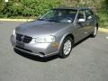 Sterling Mist Metallic - Maxima GXE Photo No. 1