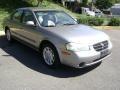 Sterling Mist Metallic - Maxima GXE Photo No. 2