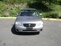 Sterling Mist Metallic - Maxima GXE Photo No. 3