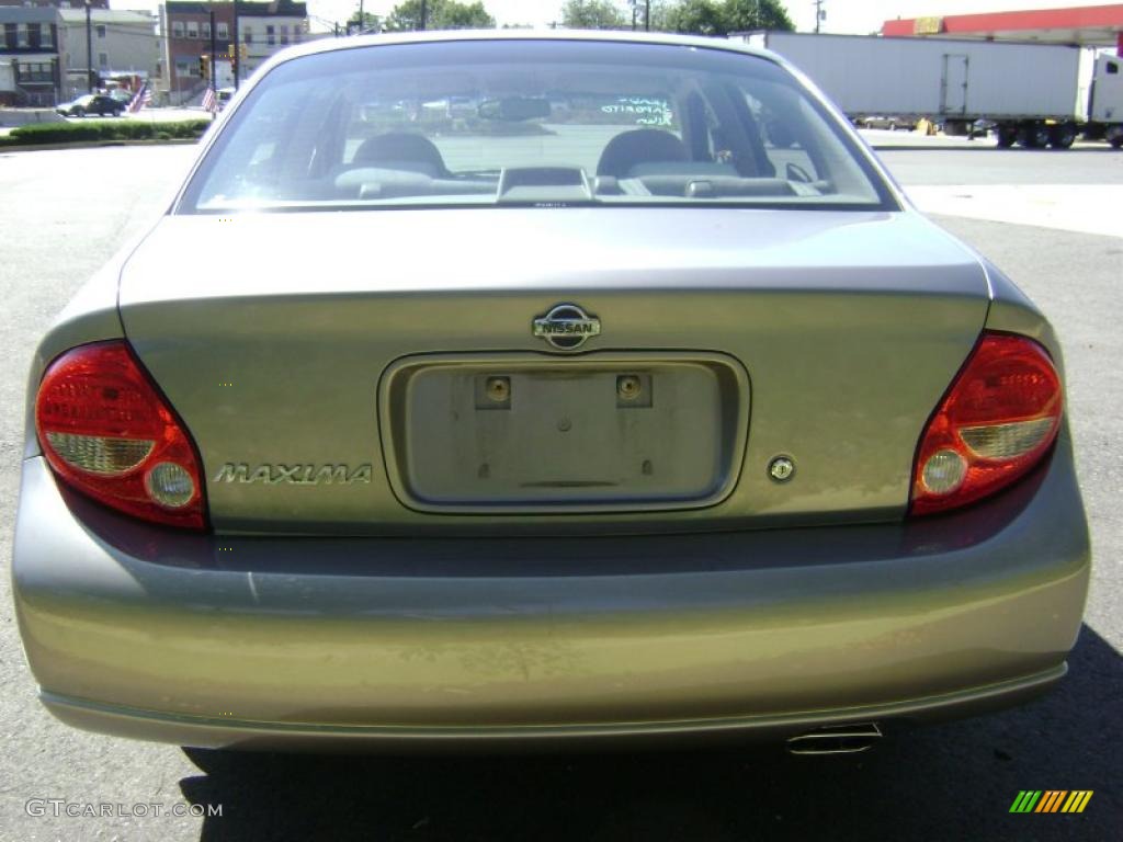 2001 Maxima GXE - Sterling Mist Metallic / Blond photo #4