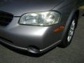 Sterling Mist Metallic - Maxima GXE Photo No. 13