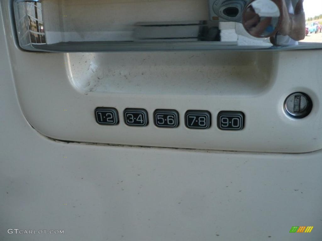 2009 F150 Platinum SuperCrew 4x4 - White Sand Tri Coat Metallic / Sienna Brown Leather/Black photo #13
