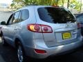 Radiant Silver - Santa Fe GLS 4WD Photo No. 10