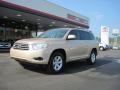 Sandy Beach Metallic - Highlander  Photo No. 1
