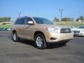 Sandy Beach Metallic - Highlander  Photo No. 7