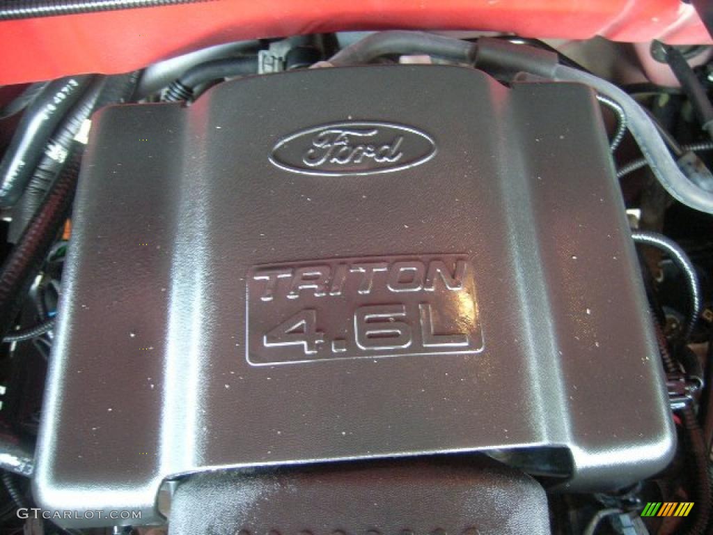 2004 F150 XL Heritage Regular Cab 4x4 - Bright Red / Heritage Graphite Grey photo #29
