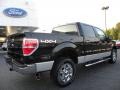 2010 Tuxedo Black Ford F150 XLT SuperCrew 4x4  photo #3