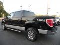 2010 Tuxedo Black Ford F150 XLT SuperCrew 4x4  photo #29