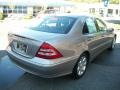 Pewter Metallic - C 280 4Matic Luxury Photo No. 5