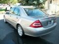 Pewter Metallic - C 280 4Matic Luxury Photo No. 7
