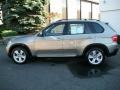 2009 Platinum Bronze Metallic BMW X5 xDrive30i  photo #8