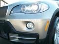 2009 Platinum Bronze Metallic BMW X5 xDrive30i  photo #31