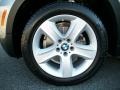 2009 Platinum Bronze Metallic BMW X5 xDrive30i  photo #32