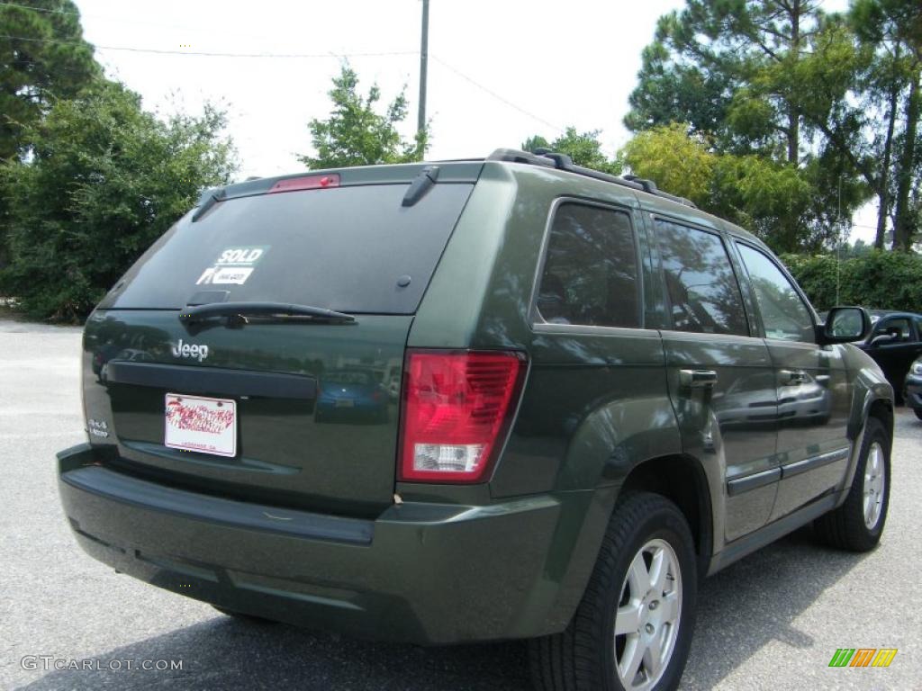 2009 Grand Cherokee Laredo 4x4 - Jeep Green Metallic / Medium Slate Gray/Dark Slate Gray photo #5