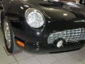 Evening Black - Thunderbird Premium Roadster Photo No. 4