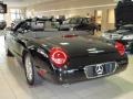 Evening Black - Thunderbird Premium Roadster Photo No. 9