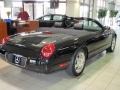 Evening Black - Thunderbird Premium Roadster Photo No. 13
