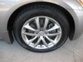 Platinum Graphite Gray - G 35 Sedan Photo No. 30