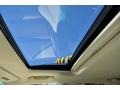 2010 Obsidian Black Lexus RX 450h AWD Hybrid  photo #18