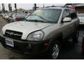 Sahara Silver - Tucson GLS V6 4x4 Photo No. 1