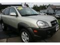 Sahara Silver - Tucson GLS V6 4x4 Photo No. 9