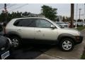 Sahara Silver - Tucson GLS V6 4x4 Photo No. 23