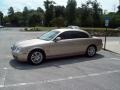 Topaz Metallic - S-Type 3.0 Photo No. 4