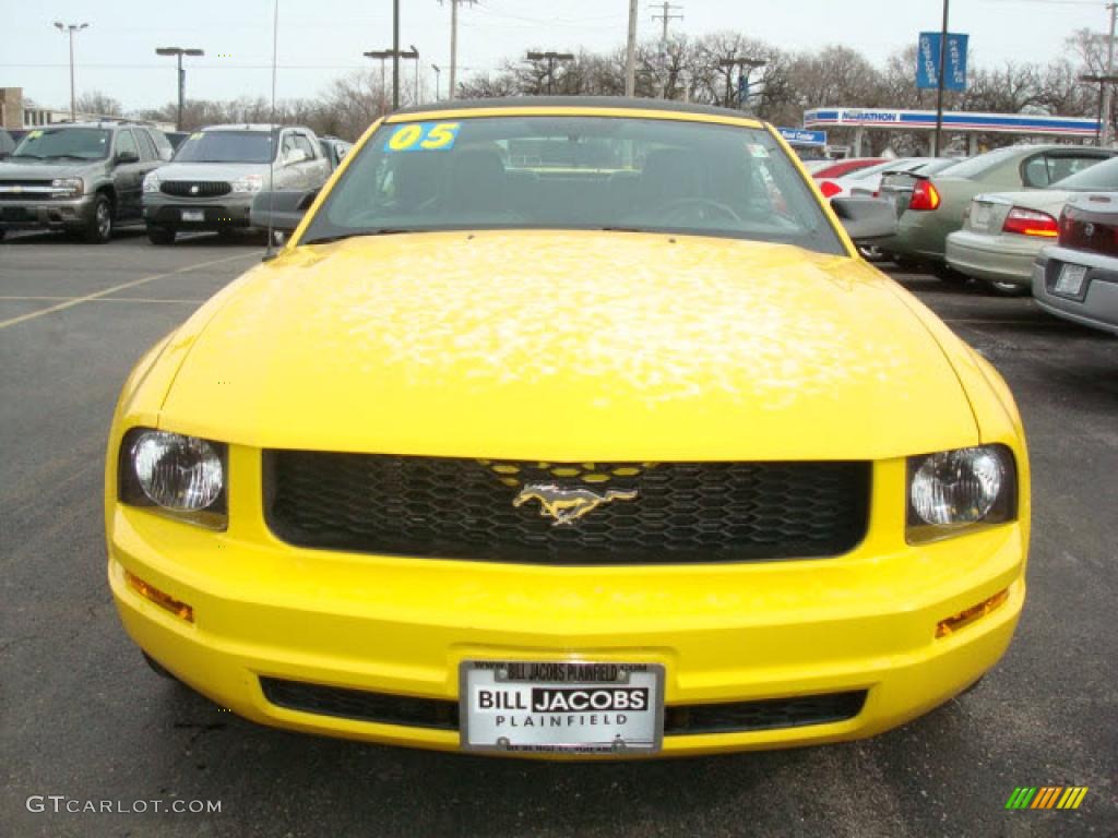 2005 Mustang V6 Premium Convertible - Screaming Yellow / Dark Charcoal photo #4