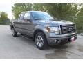 Sterling Grey Metallic 2010 Ford F150 FX2 SuperCab