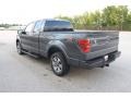 2010 Sterling Grey Metallic Ford F150 FX2 SuperCab  photo #13
