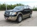 Tuxedo Black Metallic - Expedition XLT Photo No. 8