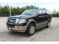 2011 Tuxedo Black Metallic Ford Expedition XLT  photo #8