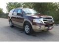 Royal Red Metallic - Expedition XLT Photo No. 1