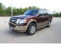 Royal Red Metallic - Expedition XLT Photo No. 8