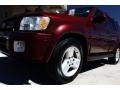 2001 Burgundy Metallic Infiniti QX4 4x4  photo #25