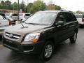 Smokey Brown 2010 Kia Sportage LX V6 4x4