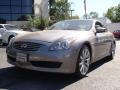 Platinum Graphite Gray - G 37 Journey Coupe Photo No. 1